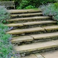 Architectural garden steps set between perennial borders.